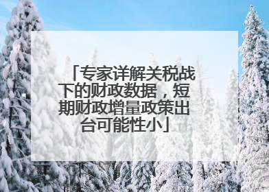 专家详解关税战下的财政数据，短期财政增量政策出台可能性小